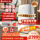 格力（GREE）【干衣除湿】除湿机家用抽湿机40升/天单间≤80㎡低噪回南天除潮防霉吸湿抽湿器智能控湿DH40EF