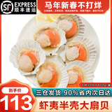 海泽鲜 鲜冻虾夷半壳特大扇贝1000g  海鲜烧烤食材超大号蒜蓉粉丝扇贝肉 【虾夷大扇贝】 800g(净重)  -1000