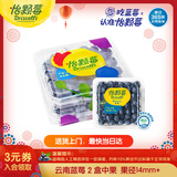 怡颗莓Driscoll's云南蓝莓14mm+ 2盒装 约125g/盒 新鲜年货水果 