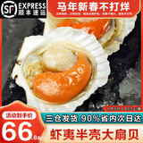 海泽鲜 鲜冻虾夷半壳特大扇贝1000g  海鲜烧烤食材超大号蒜蓉粉丝扇贝肉 【虾夷大扇贝】 400g(净重)  -450g