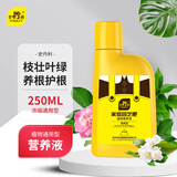 史丹利（STANLEY）营养液花肥料家用盆栽植物通用型水培发财树富贵竹花卉绿植250ml