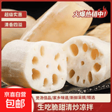 洪湖新鲜现挖莲藕带泥水果脆藕头生鲜蔬菜凉拌清炒产地直发包邮 新鲜脆藕2斤 净重（带泥保鲜）