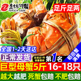 【活蟹】网兜蟹辽宁盘锦河蟹稻田河蟹礼盒螃蟹鲜活大闸蟹原生带泥 全母蟹丨2.8-3.0两【5斤】16-18只（镇店之宝）
