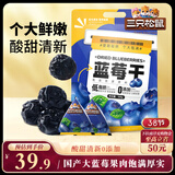 三只松鼠每日蓝莓干500g 蜜饯果干酸甜休闲零食下午茶孕妇儿童健康零食