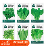 北蔬 蔬菜种子种苗大全生菜香菜菠菜春季阳台菜籽 6种叶菜类蔬菜种子