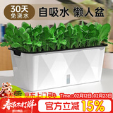 德沃多种菜盆长方形种植箱塑料加厚自动吸水花盆种菜箱蔬菜种植盆 小号
