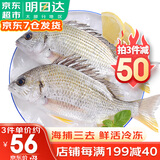 哆鲜生 活冻黄翅鱼 海捕黄鳍鲷黄脚立鱼 三去国产生鲜冷冻鱼类 2-3条/袋 净重400g