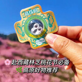 高反吸高原旅行必备神器西藏新疆旅游抗高反药房同款高反隐形鼻夹 缓解高反【6岁以上可用】 高反吸一盒【8枚】云南西藏