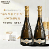 菲特瓦法国原瓶进口起泡酒白葡萄酒果香味槟气泡酒送礼 3品种混酿起泡酒 750ml双支装 配香槟杯