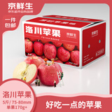 京鲜生陕西洛川红富士净重5斤75-80mm单果170g+新鲜水果源头直发