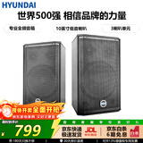 HYUNDAI现代音响 音箱 家庭影院 KTV音响 家用组合 专业K歌 会议 舞台设备 【BK10】10英寸二分频专业竖箱