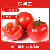 京鲜生山东口感番茄沙瓤西红柿净重3斤 新鲜蔬菜 源头直发包邮