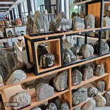 正宗大号泰山石敢当原石补角景观赏石摆件靠山石转运石头家用摆件 选定发货 所选即所得  下单客服备注型号A