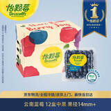 怡颗莓Driscoll's 云南蓝莓14mm+ 12盒装 约125g/盒 新鲜水果礼盒