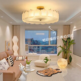 大观园（DGY）法式复古卧室吊灯轻奢玻璃水晶灯创意贝壳客厅餐厅灯中山灯具413O 1086-磨砂60CM-三色变光