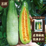 北蔬甜瓜种子苗薄皮酥脆超甜香瓜四季水果种籽 贝雷塔羊角蜜种子5g