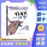 2026春季书香共读三年级伊索寓言下金蛋的鸡克雷洛夫寓言青蛙和牯牛花的学校牧羊犬阿甲胡萝卜先生的长胡子小布头奇遇记勇敢的足迹 《牧羊犬阿甲》