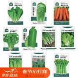 北蔬 萝卜白菜种子香菜菠菜胡萝卜生菜春季种 10种秋冬季蔬菜种子套餐