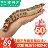 哆鲜生 海捕竹节虾 野外生长活冻国产斑节虾大花对虾九节竹节鬼虾虾类 竹节虾 大号 7-9条 300g(净重)