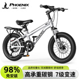 凤凰（Phoenix）儿童山地自行车4-8-12-18岁减震变速22寸银色