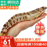 哆鲜生 海捕竹节虾 野外生长活冻国产斑节虾大花对虾九节竹节鬼虾虾类 竹节虾 特大号 5-6条 300g(净重)