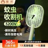 臻邦（ZHENBANG）臻邦电蚊拍充电式灭蚊神器苍蝇拍灭蚊拍家用蚊子拍迷你随身拍蚊子