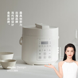 olayks立时 电压力锅 高压锅 家用多功能高压电饭煲快煮智能预约迷你电压力锅 2L适用1-2人用YBW2001B