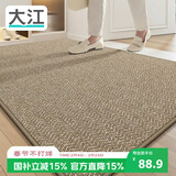 大江 门口地垫入户门脚垫进门门垫玄关垫轻奢高级地毯入户门60x90cm