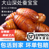 印禾年鲜活蚕蛹东北特产 新鲜茧蛹特级大号黄蚕蛹蝉蛹柞蚕生鲜活体净重 1000g 特大号黄蛹（约76只甄选版）