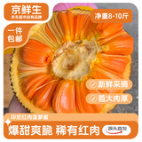 京鲜生爆款年货印尼红肉菠萝蜜 净重8-10斤 新鲜水果 源头直发