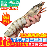 优牧冠越南原装进口超大号黑虎虾 草虾 冷冻大虾大号对虾夜宵烧烤食材 超大号19-22cm 1.6斤(净重)