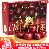 京地达山东美早大樱桃JJ级超大果净重1.8斤 单果28-30mm 水果源头直发
