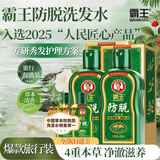 霸王侧柏叶人参精华滋养防脱固发控油去屑洗发水408ml*2+旅行装80ml*2