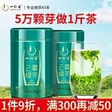 一杯香茶叶明前头芽云雾绿茶250g2025新茶高山日照足过年货礼盒装自己喝