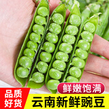 中鲜生 云南新鲜豌豆 甜豌豆新鲜蔬菜现摘豆角 3斤装