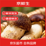 京鲜生云南鲜菌菇【新鲜姬松茸】净重2斤煲汤小炒火锅食材源头直发