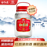 红荔 米香型白酒 40度 浸泡酒5L 红米酒泡酒纯粮酿造广东米酒青梅酒