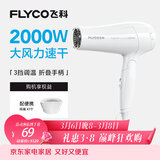 飞科（FLYCO）电吹风机家用发廊大功率2000W速干恒温便携可折叠白色FH6232