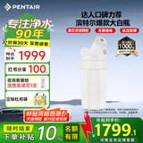 滨特尔（pentair）大白瓶前置过滤器 全屋家用自来水过滤器 前置净水器大蓝瓶 中央净水机大流量大胖瓶高精度 【10寸大白瓶】包安装