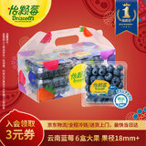 怡颗莓Driscoll's云南蓝莓Jumbo大果18mm+ 6盒约125g/盒 水果年货礼盒