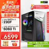 武极 武神i5 14400F/230F/RTX5060Ti显卡台式机三角洲游戏电竞组装电脑英特尔Intel主机整机DIY组装机 230F+RTX5060Ti丨配置六 单主机