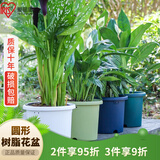 爱丽思花盆塑料圆形树脂多肉花盆种花种菜盆绿萝爱丽丝 浅绿口径20.3cm