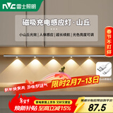 雷士（NVC）七夕情人节波纹猫眼感应橱柜磁吸玄关投影灯夜灯鞋衣电视柜-银色C