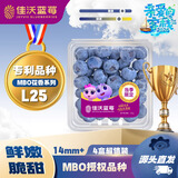 佳沃（joyvio）L25云南花香蓝莓14mm+4盒装约125g/盒新鲜水果源头包邮