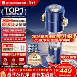 惠尔顿前置过滤器25微米15T大流量全屋中央净水器 自动清洗实时刮洗滤网反冲洗自来水防爆过滤器P0038pro 上门安装【15T-升级25微米精滤】