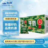 天润迷彩枕早餐奶3.6蛋白纯牛奶200g*12袋礼盒装