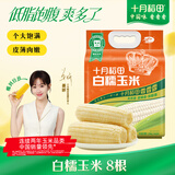 十月稻田 白糯玉米 8根 4.16斤 东北甜粘玉米 非转基因 低脂早餐