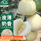 寿禾 白皮甜瓜种子种苗白肉香瓜水果种籽 潍育香洋白甜瓜种子20粒*3袋