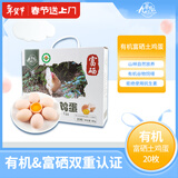 九華粮品有机富硒土鸡蛋20枚 净重1.6斤 散养草鸡蛋 柴鸡蛋 礼盒