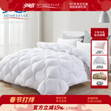 安睡宝（SOMERELLE）冬被双人春秋被子被芯家纺床品 春秋被-科技白 200*230cm